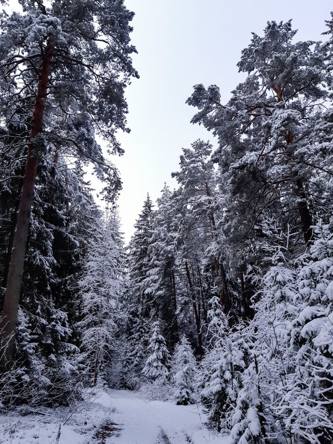 Photo #5285384