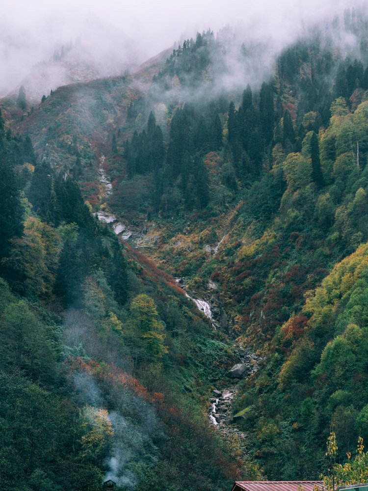 Photograph by Ольга Эркызан