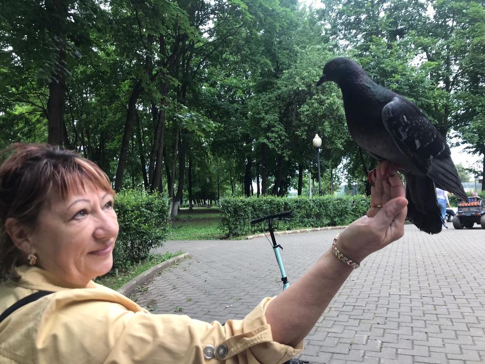 Душав голубе