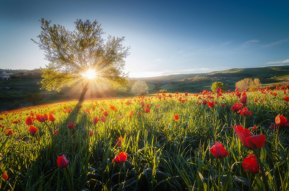 Photograph by Gaetano Di Stefano