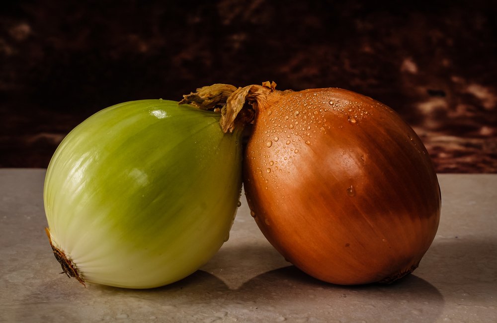 Photograph by Zaheer Baksh