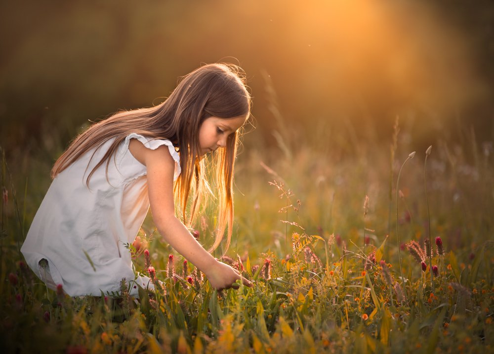 Фотография автора Nicole O’Rourke