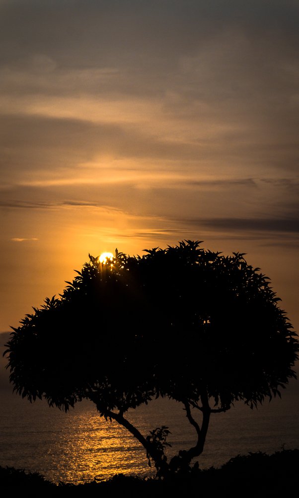 Photograph by Cristhian Estiwar