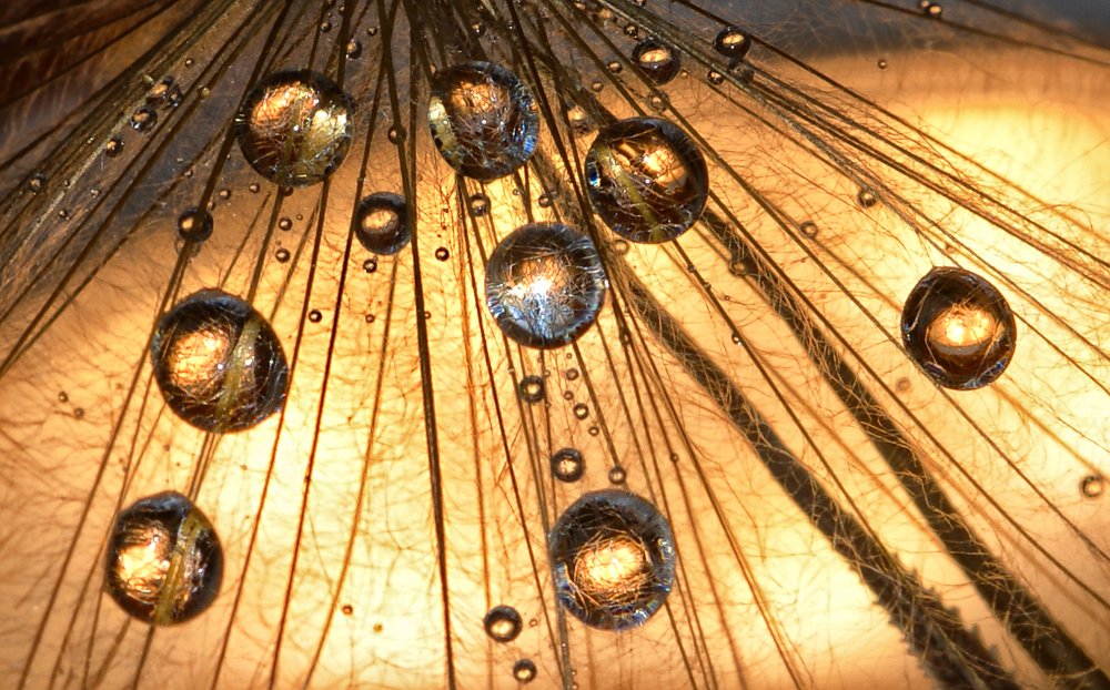 Фотография автора Tatiana Kadotschnikow