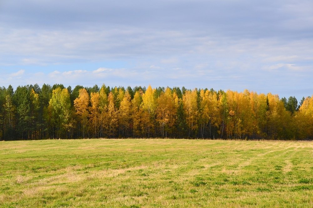Photograph by Владислав Завальнюк