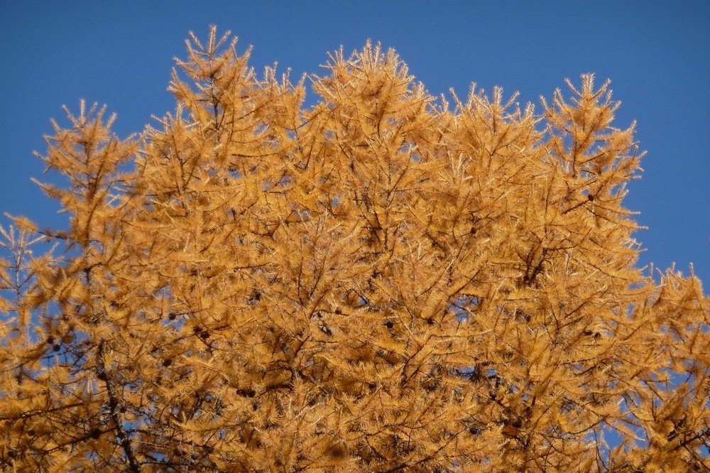 Photograph by Владислав Завальнюк