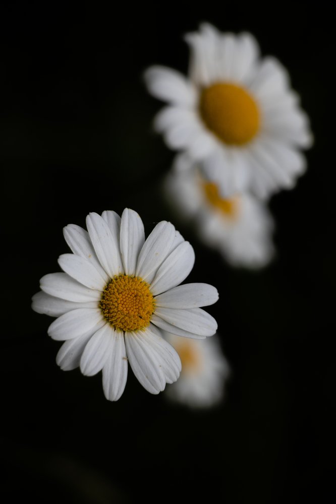 Photograph by Евгений Михеев