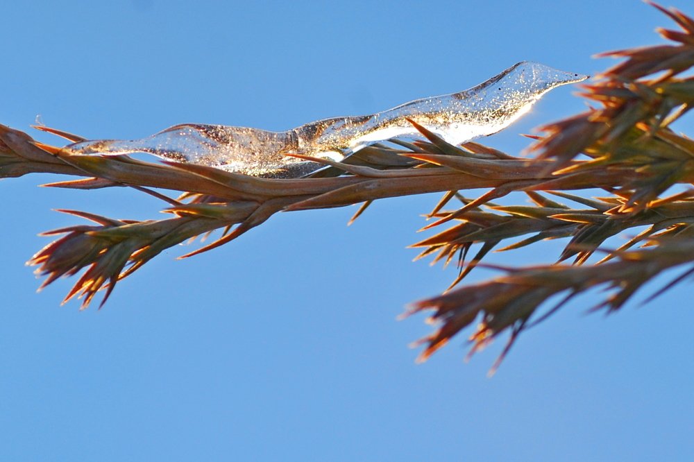 Photograph by Оксана Трофименко