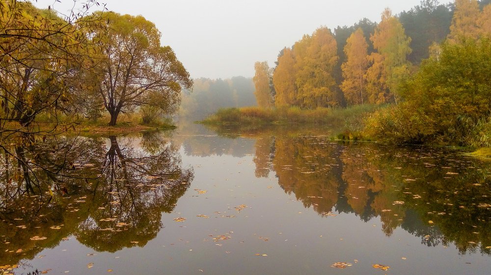 Осеннее утро
