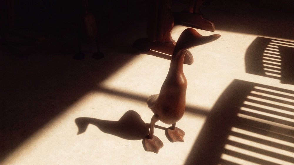 Photograph by sandhya kudli