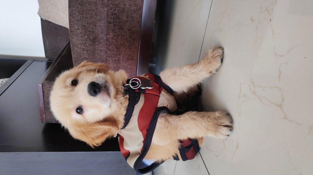 Photograph by sandhya kudli