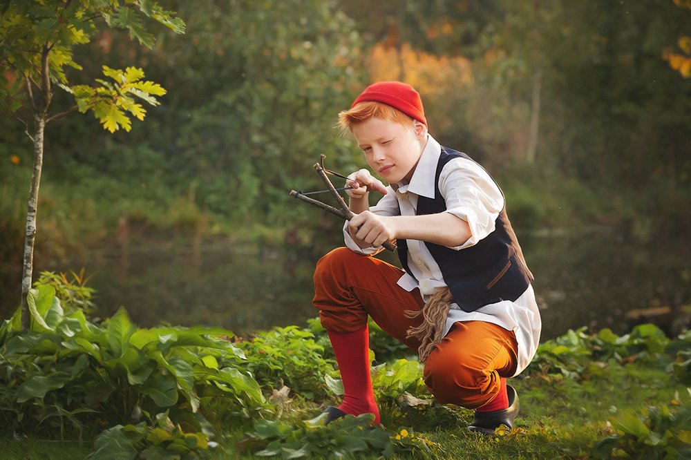 Необыкновенное приключение Нильса и диких гусей