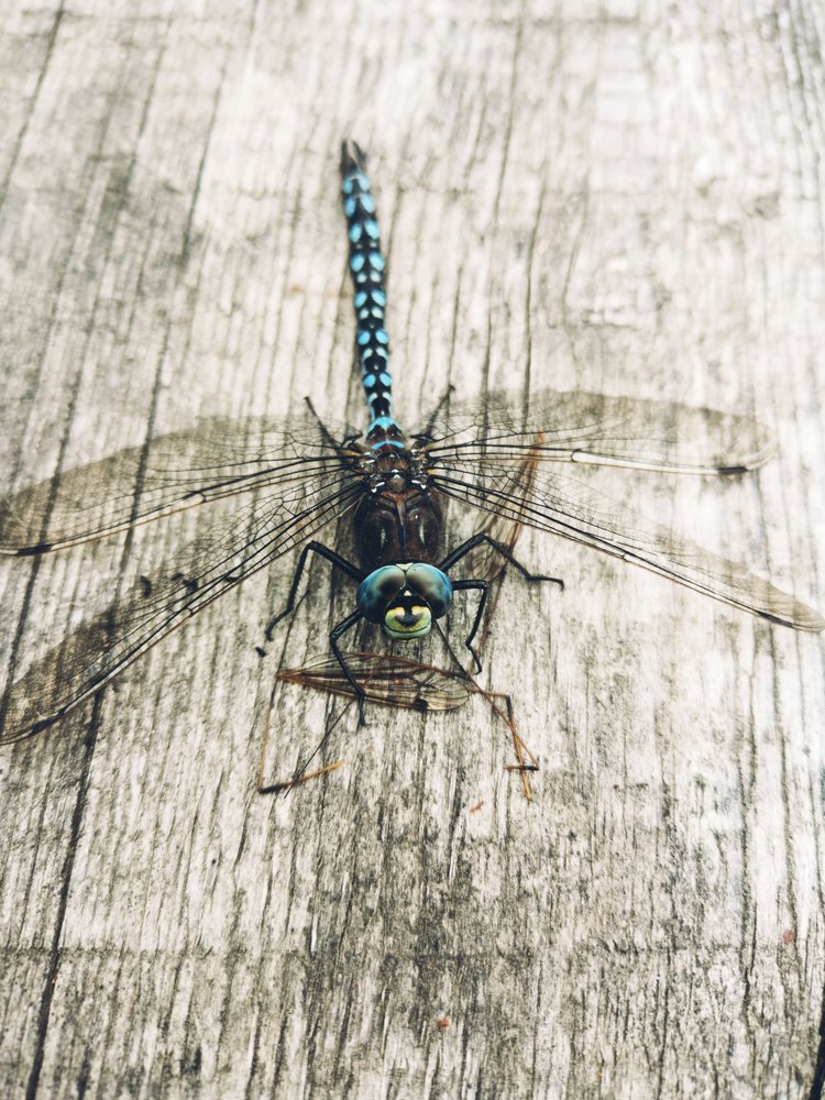 Photograph by Светлана