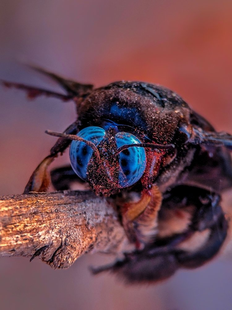 Photograph by sandhya kudli