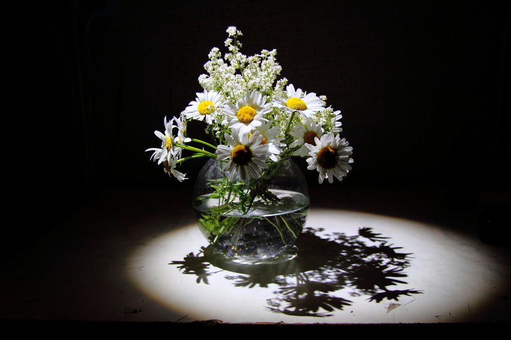 Photograph by игорь редько