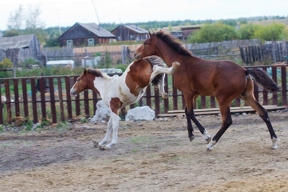 Photograph by Алексей Черников