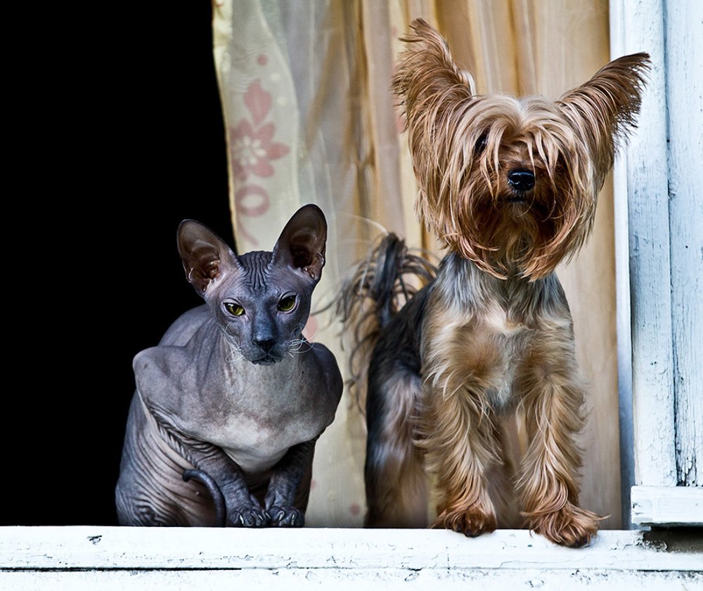 Photograph by Алексей Черников