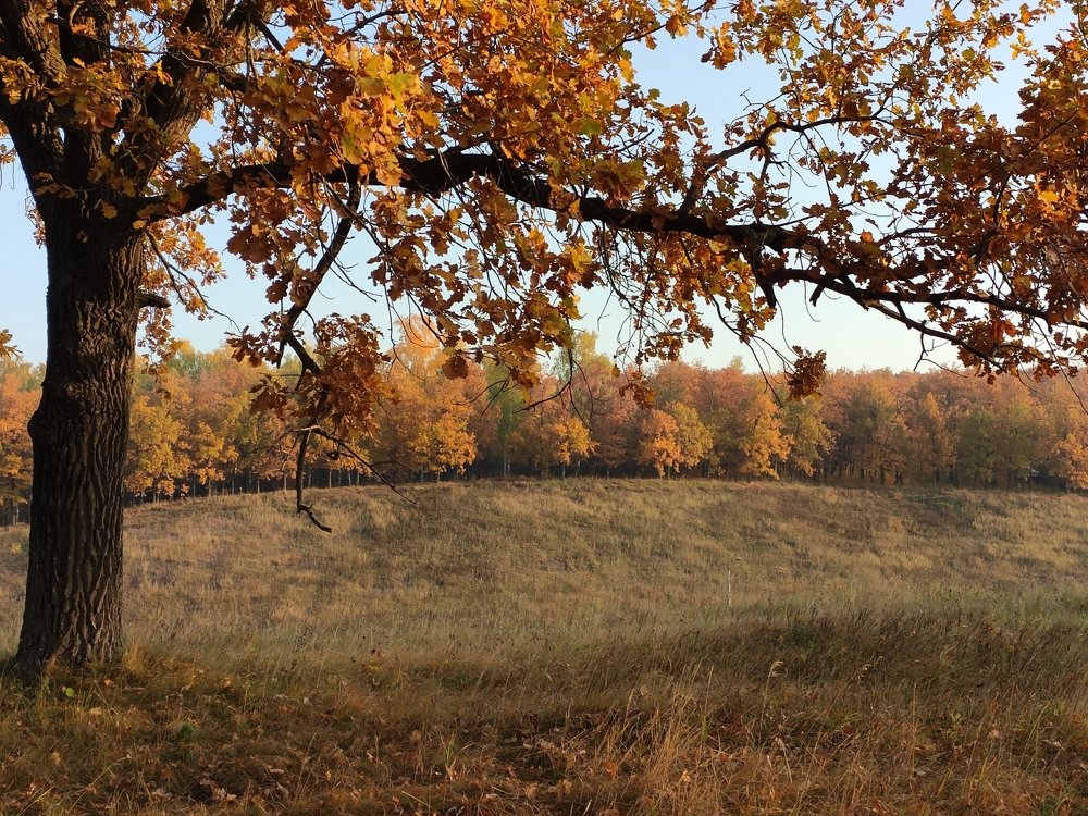 Photograph by Амелия Гайнуллина