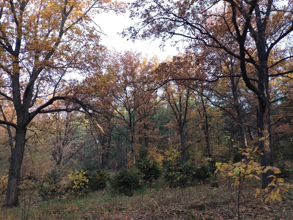 Photograph by Амелия Гайнуллина