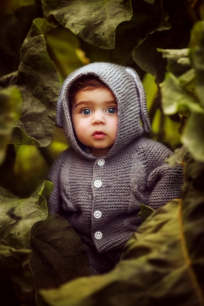 В капусте нашли.