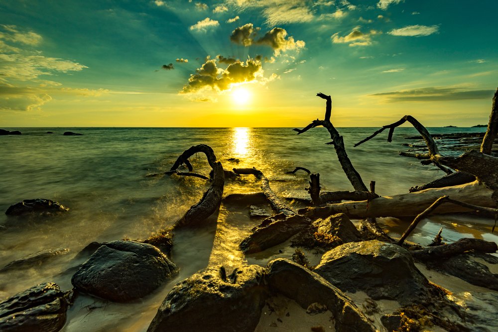 Photograph by Huynh Loc