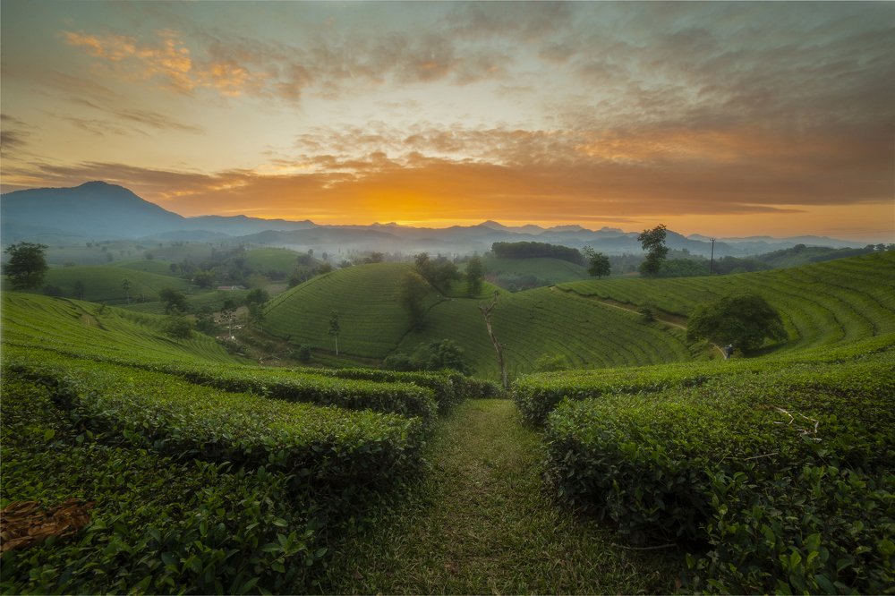Photograph by Sky Hunter Duy Quang
