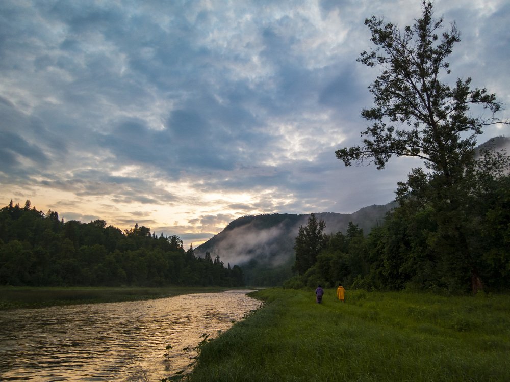 После дождя