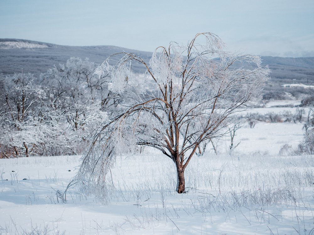 Photograph by Сигида Дмитрий