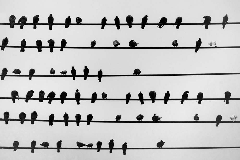 Photograph by khai nguyen tuan