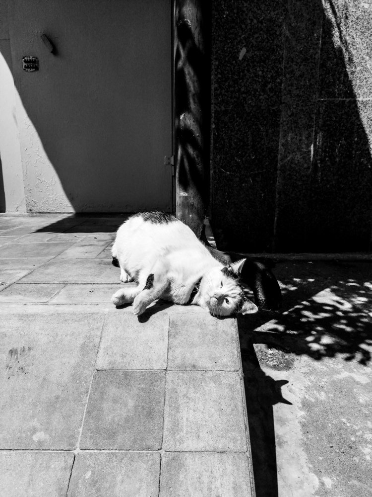 Photograph by Lina Katani