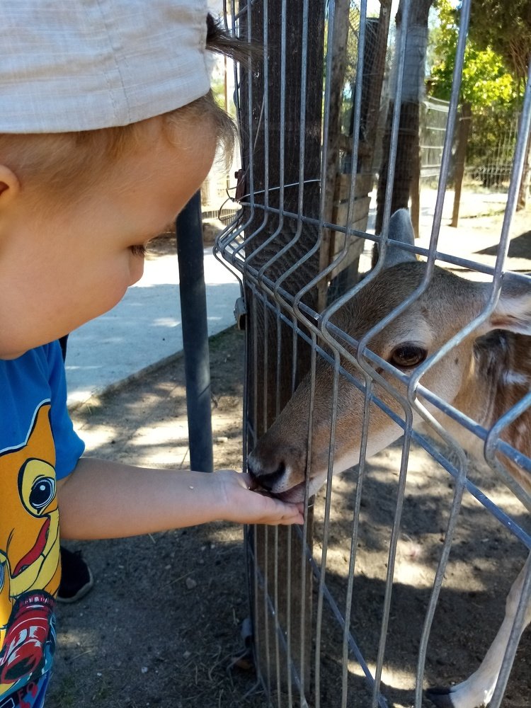 Photo #5286258