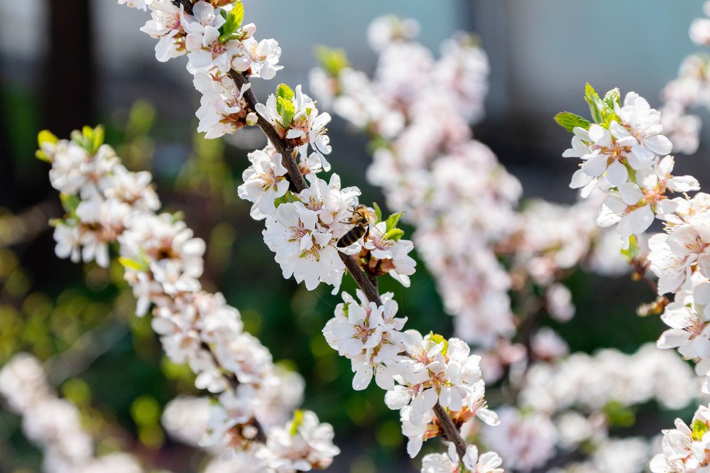 Photograph by Михаил Корнеев