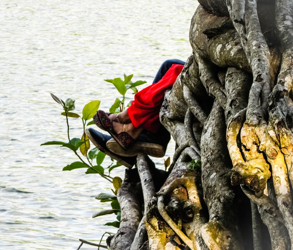 Photograph by Prithes Adhikary