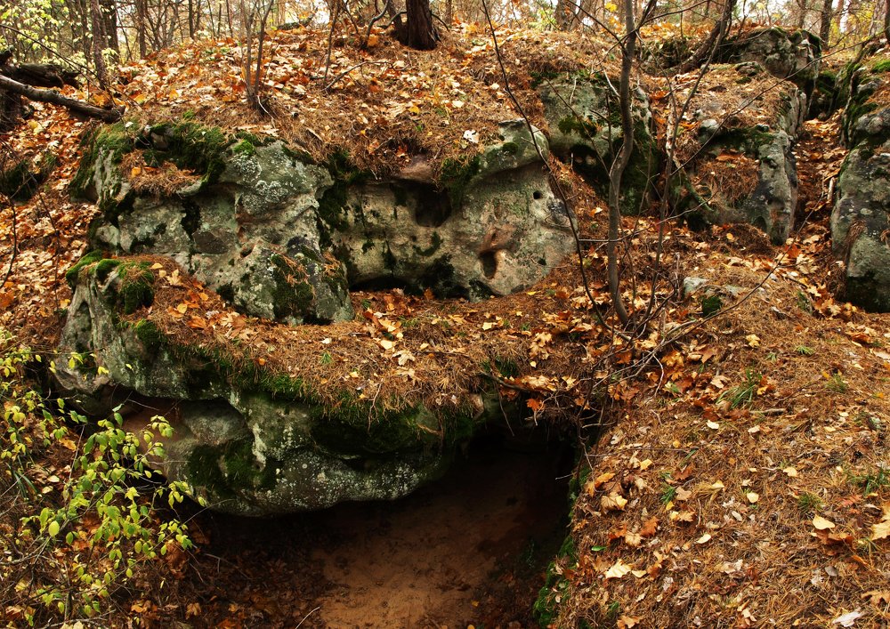 Photograph by Сергей Юрьев