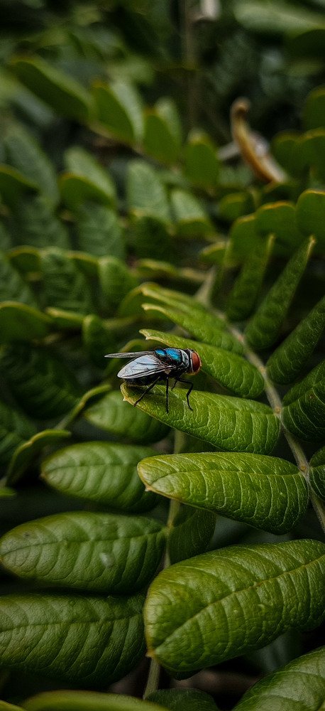 Фотография автора Gopalakrishna Chinta