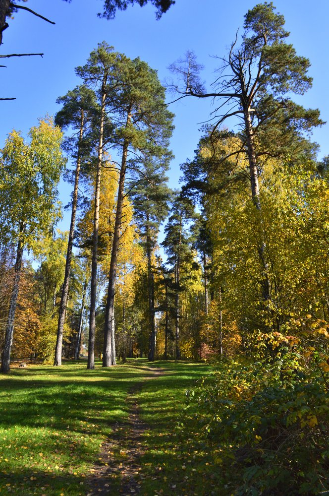 Фотография автора Клавдия Васильева