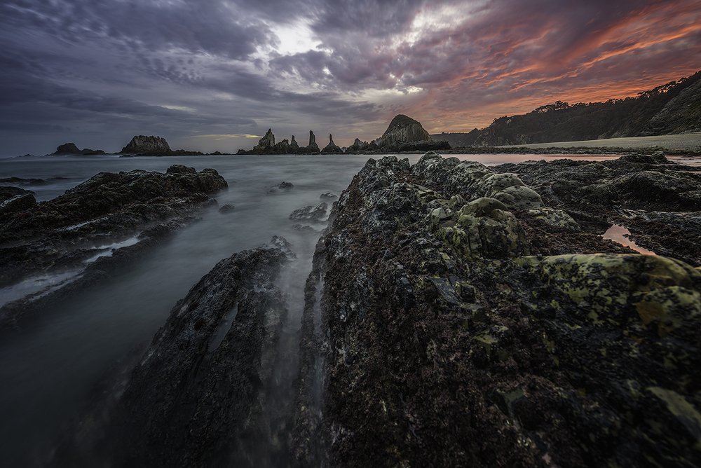 Photograph by Juan Casas