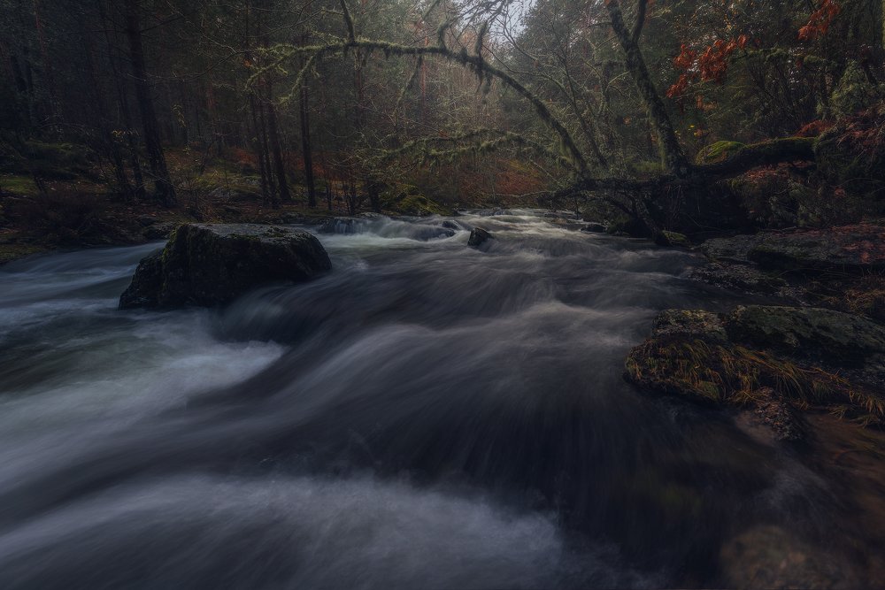 Photograph by Juan Casas