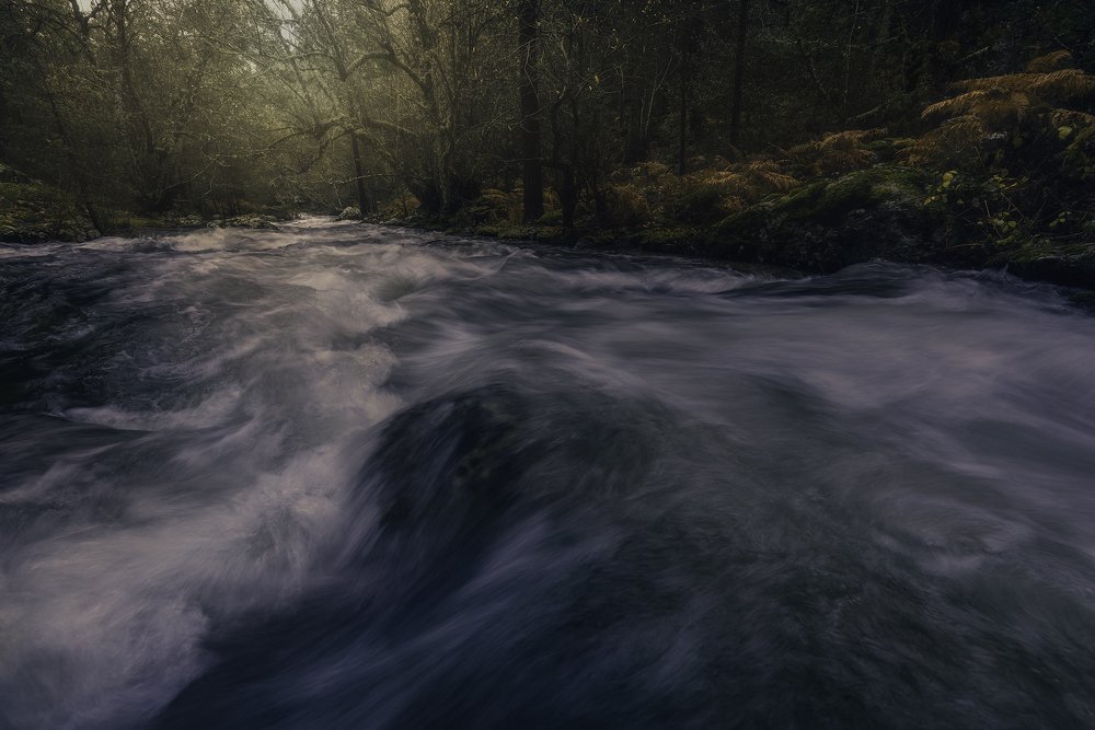 Photograph by Juan Casas