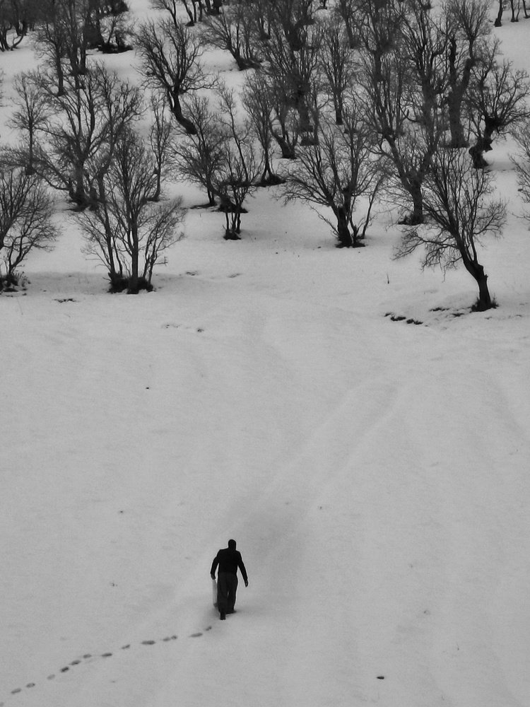 Photo #5286433