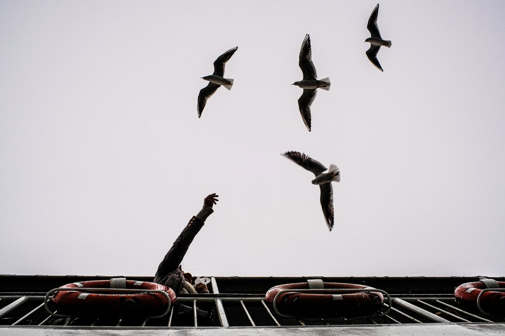 Photograph by Soner Abacı