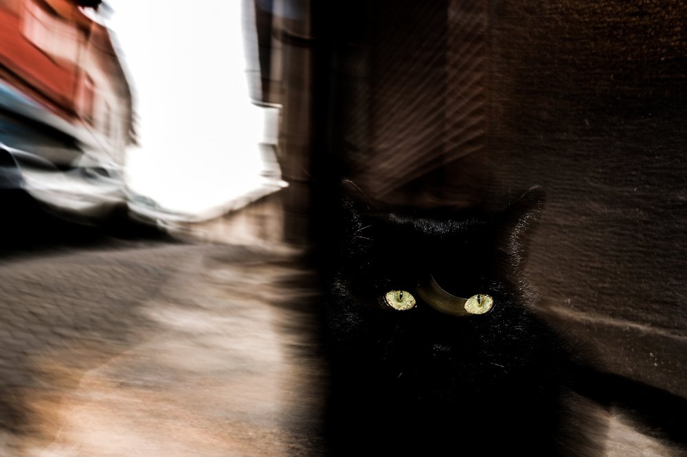 Photograph by Soner Abacı