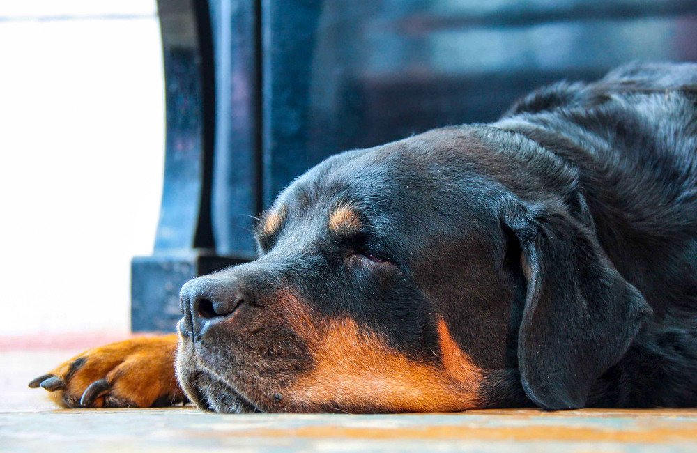 Спокойствие и мудрость