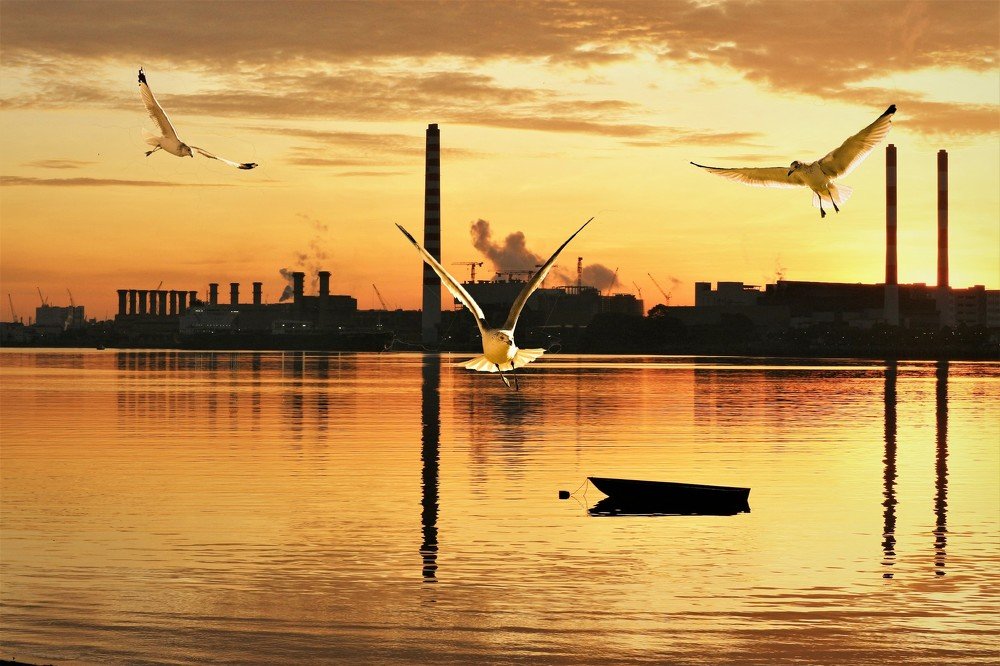 Photograph by Samuel Chan