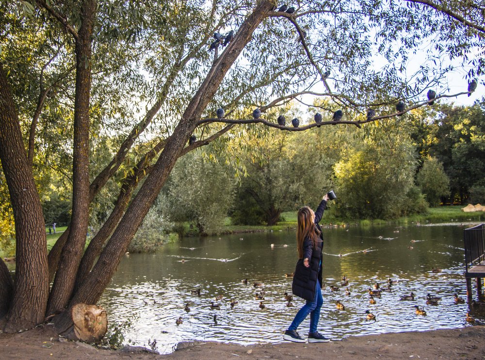 Angry Birds в парке.