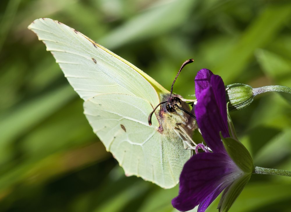 Photograph by Irina Grigoryeva