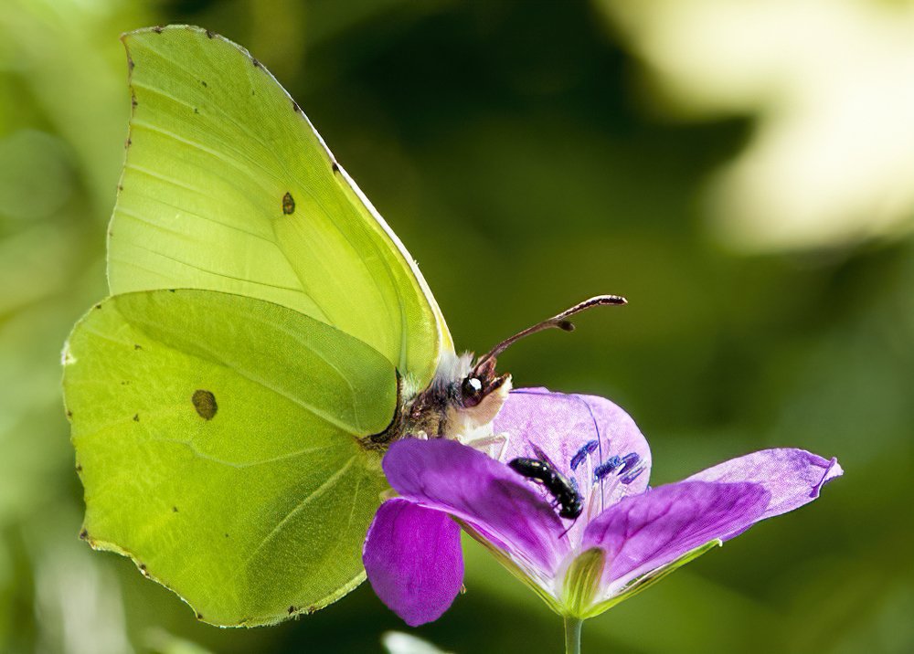 Photograph by Irina Grigoryeva
