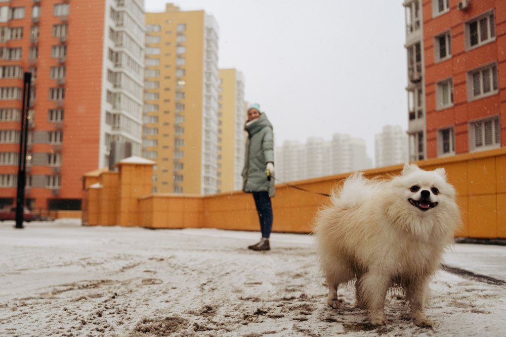 Photograph by Ирина Летунова