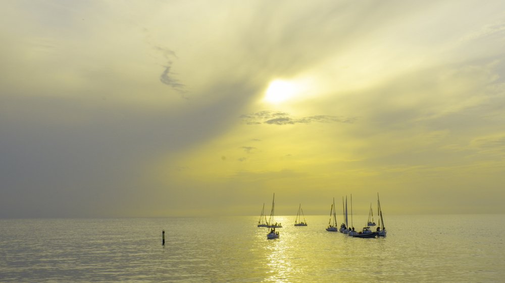 Photograph by Игорь Дубынин