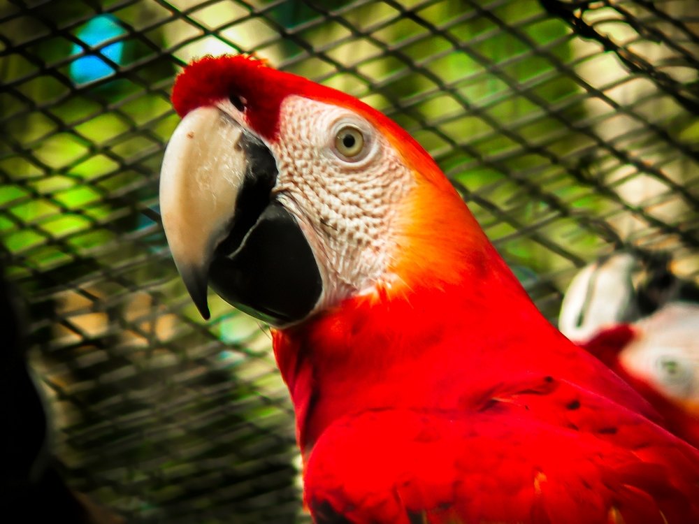 Photograph by Zaheer Baksh